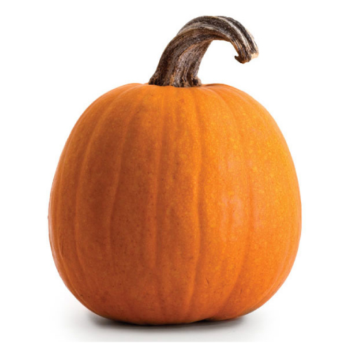 Jack-o-Lanterns – October 22nd