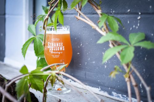NEW BEER | Cyclhops Hallertau Blanc