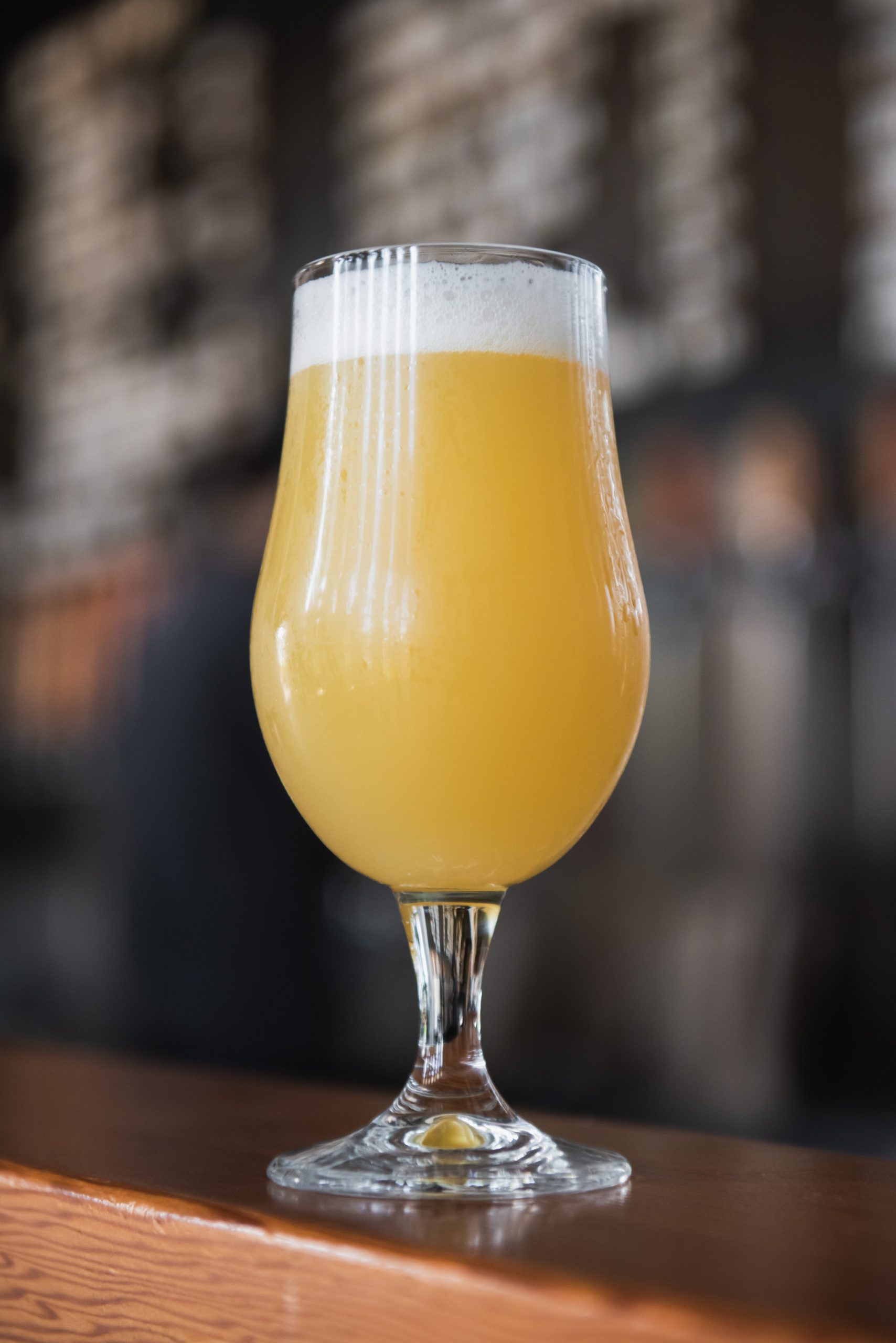 PHILLY THE TART | EXPERIMENTAL YEAST GRISETTE