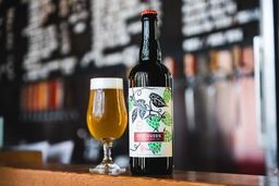 GREENHORN | FOUDRE AGED DRYHOPPED WILD ALE